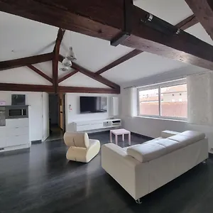 L'escapadou - Charme Et Tranquillite Appartement Albi